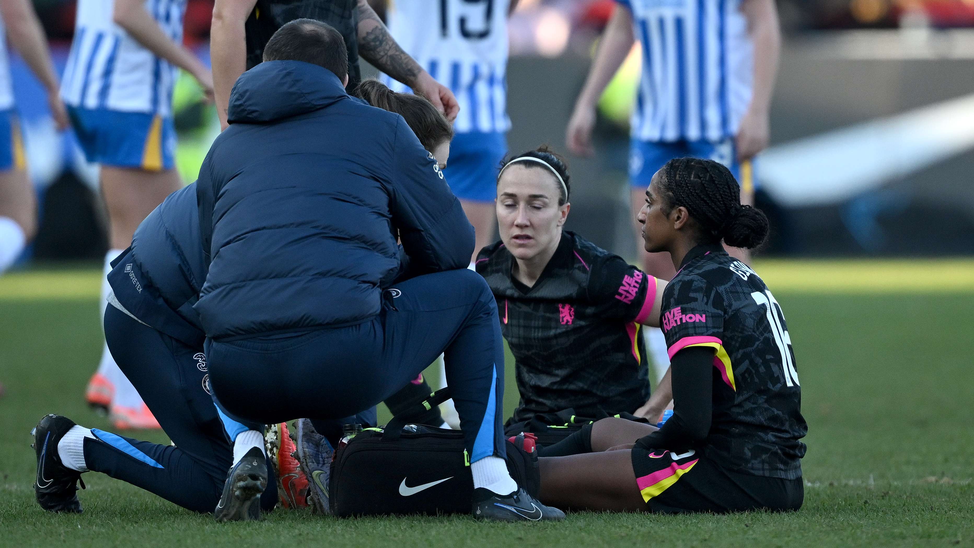 浙江队此次 浙江队此次